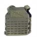 HSGI Core Plate Carrier